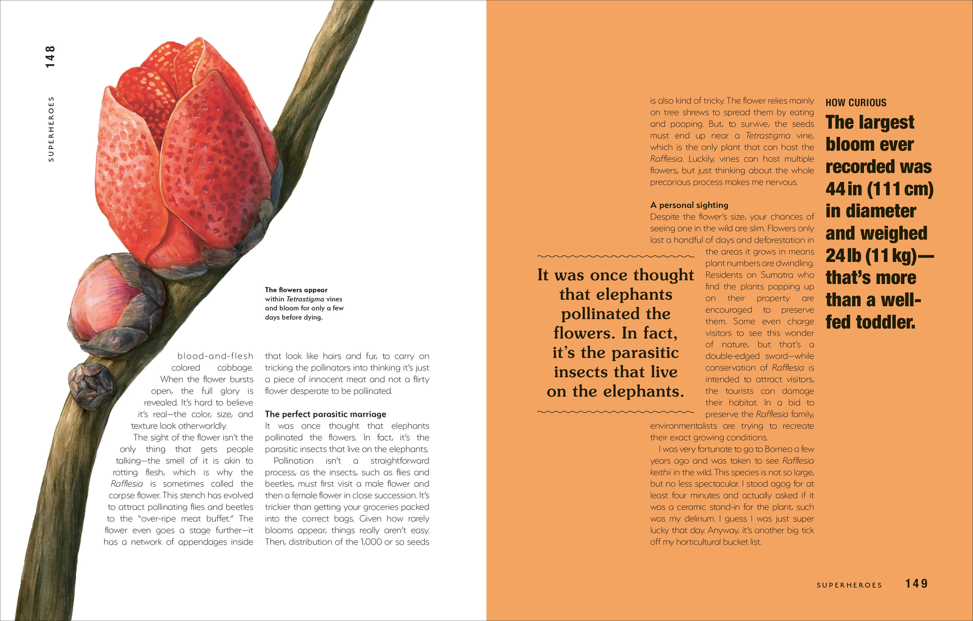 Hortus Curious-Spread, Image, (PRHC, Design, Do, Not, Use)-6