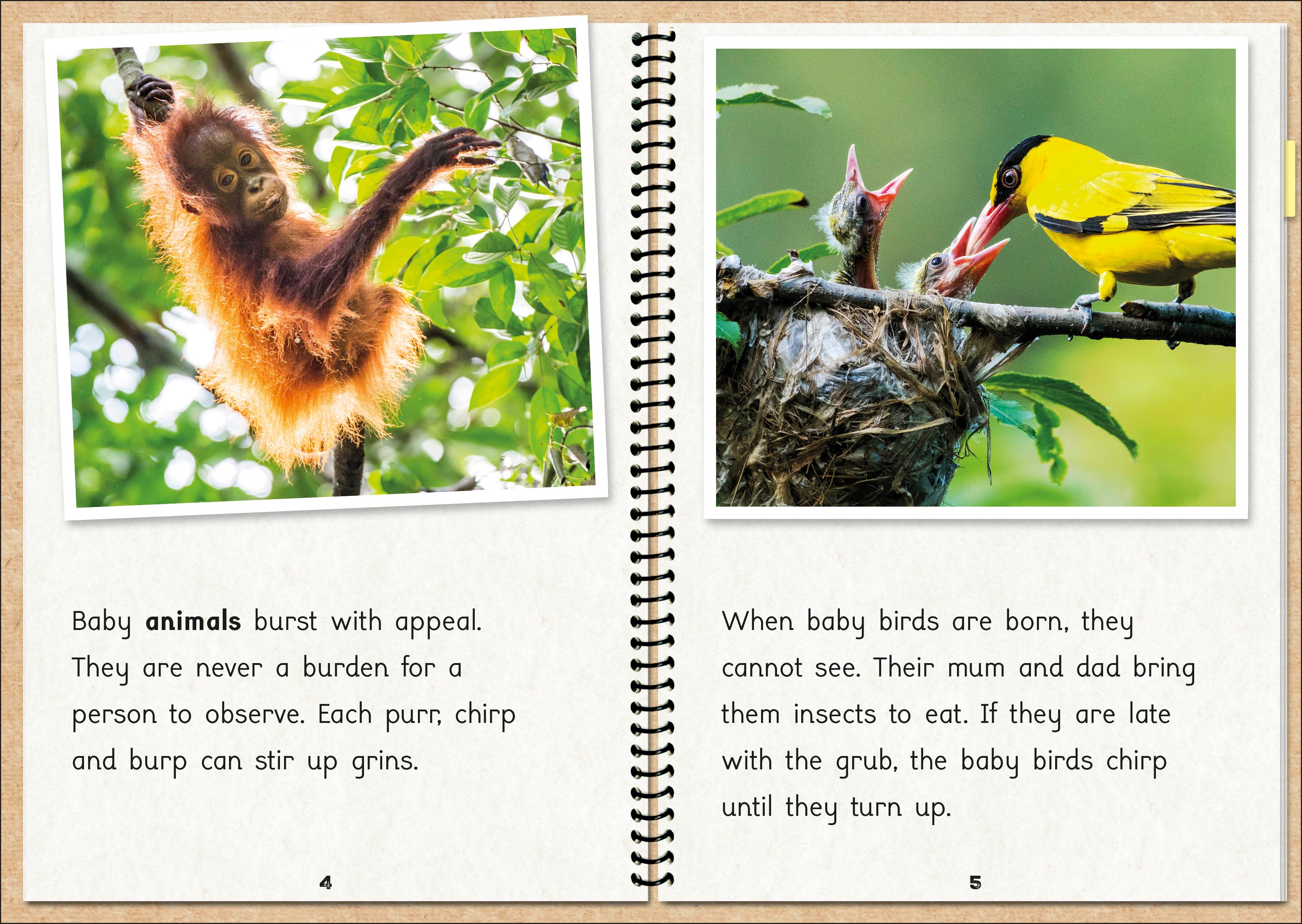 Phonic Books The Fact Files 2