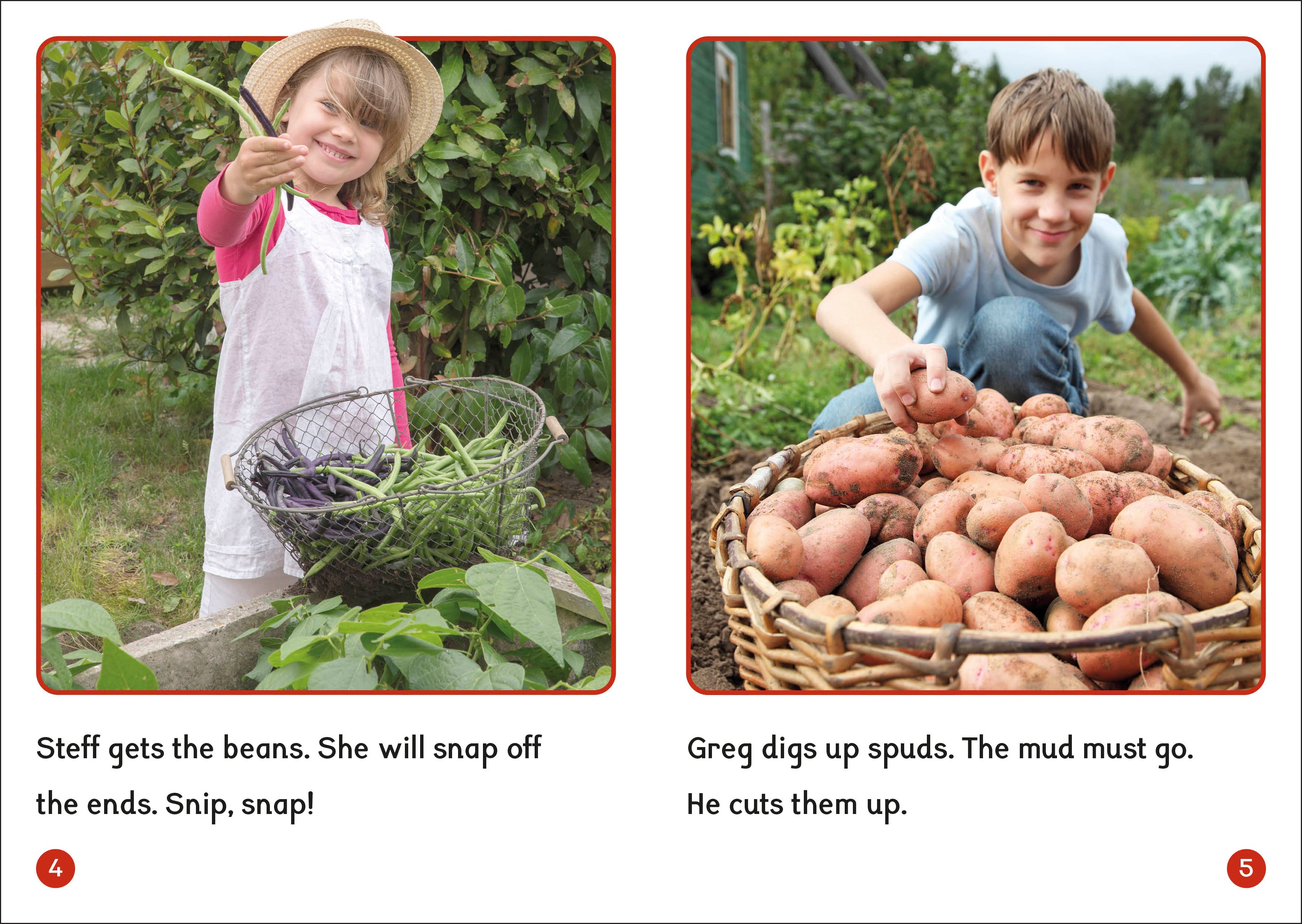 Phonic Books Dandelion World Extras Stages 8-15-Spread, Image, (PRHC, Design, Do, Not, Use)-2