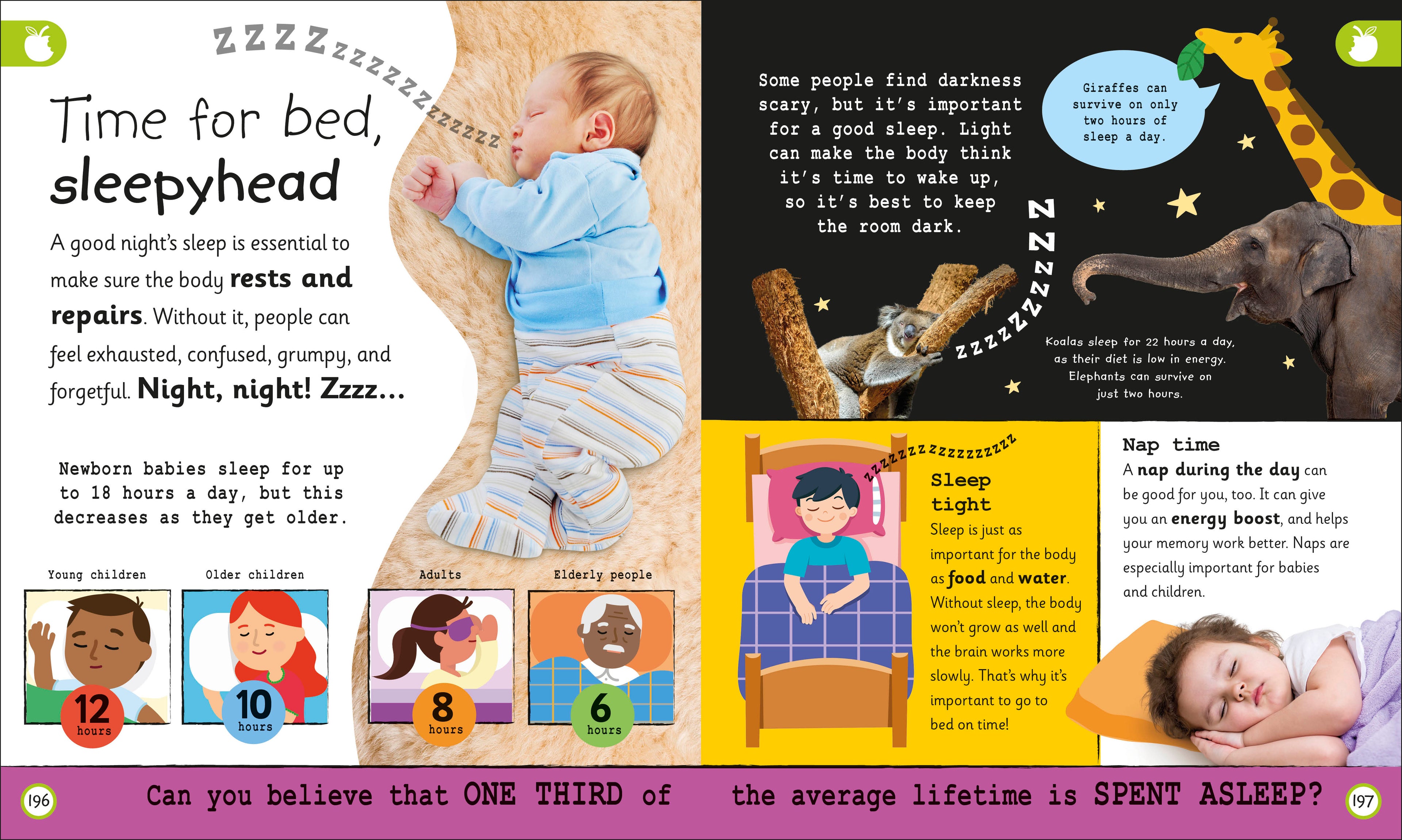 My Very Important Human Body Encyclopedia