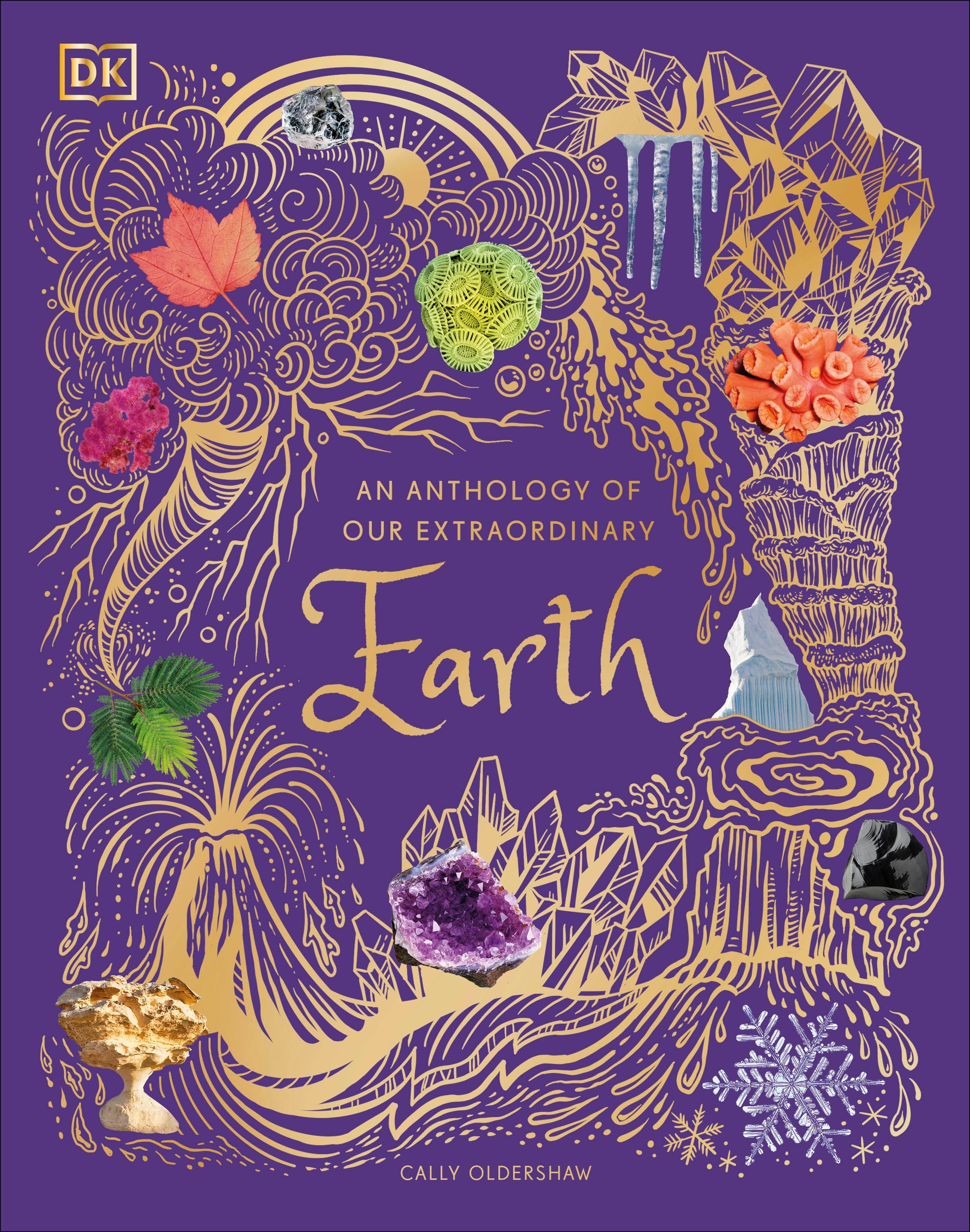 9780241660348-An Anthology of Our Extraordinary Earth-Jacket Image