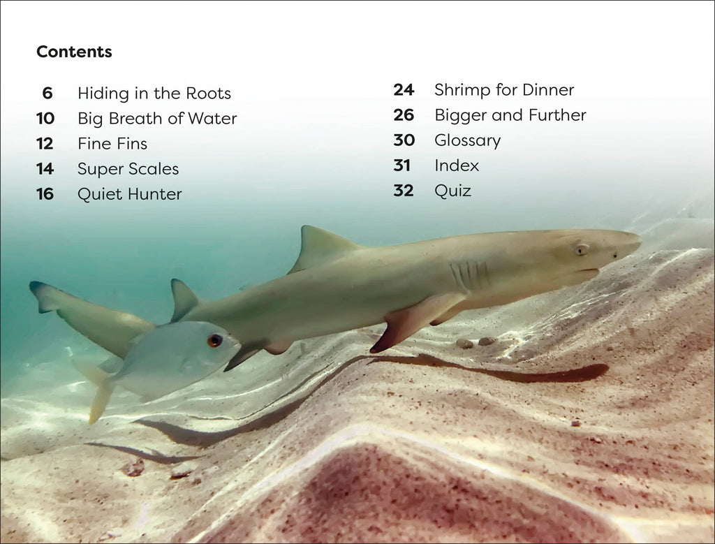 DK Super Readers Level 1 Life of a Baby Lemon Shark