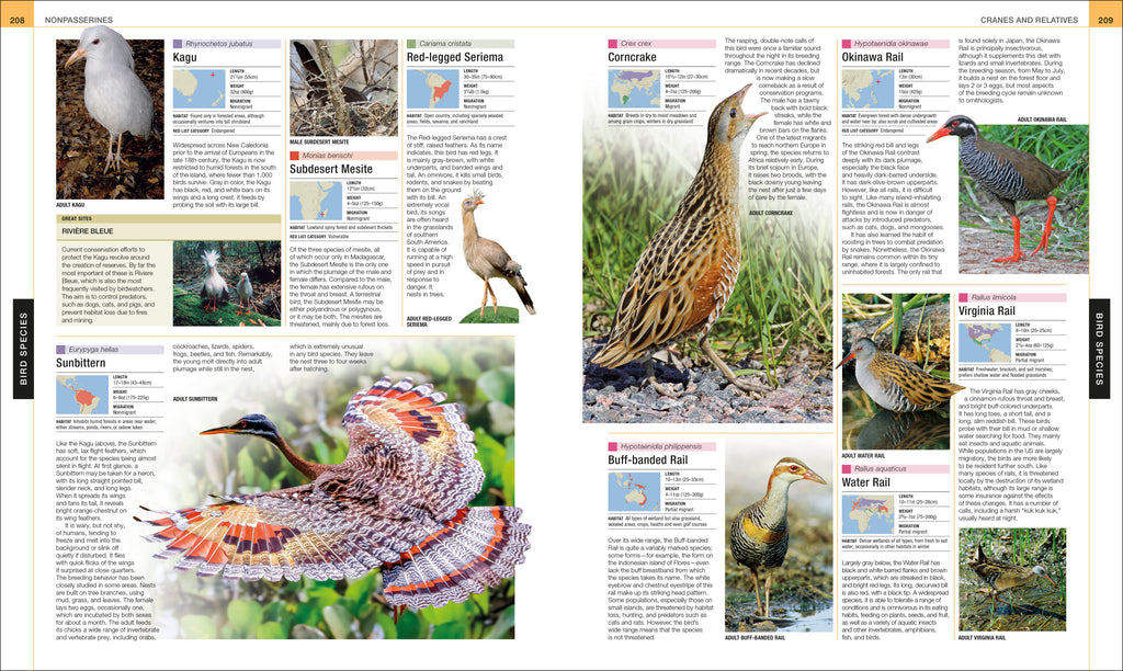 Bird-Spread, Image, (PRHC, Design, Do, Not, Use)-10