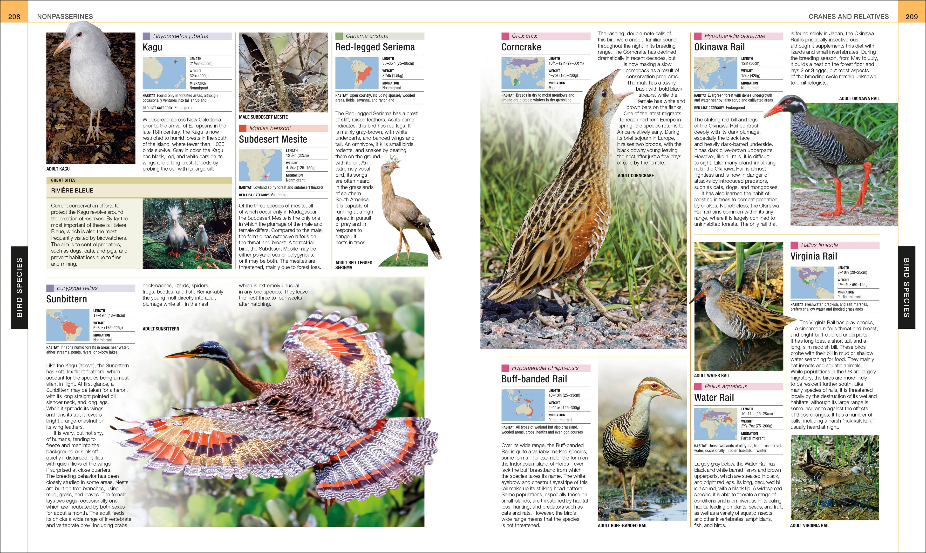 Bird-Spread, Image, (PRHC, Design, Do, Not, Use)-10