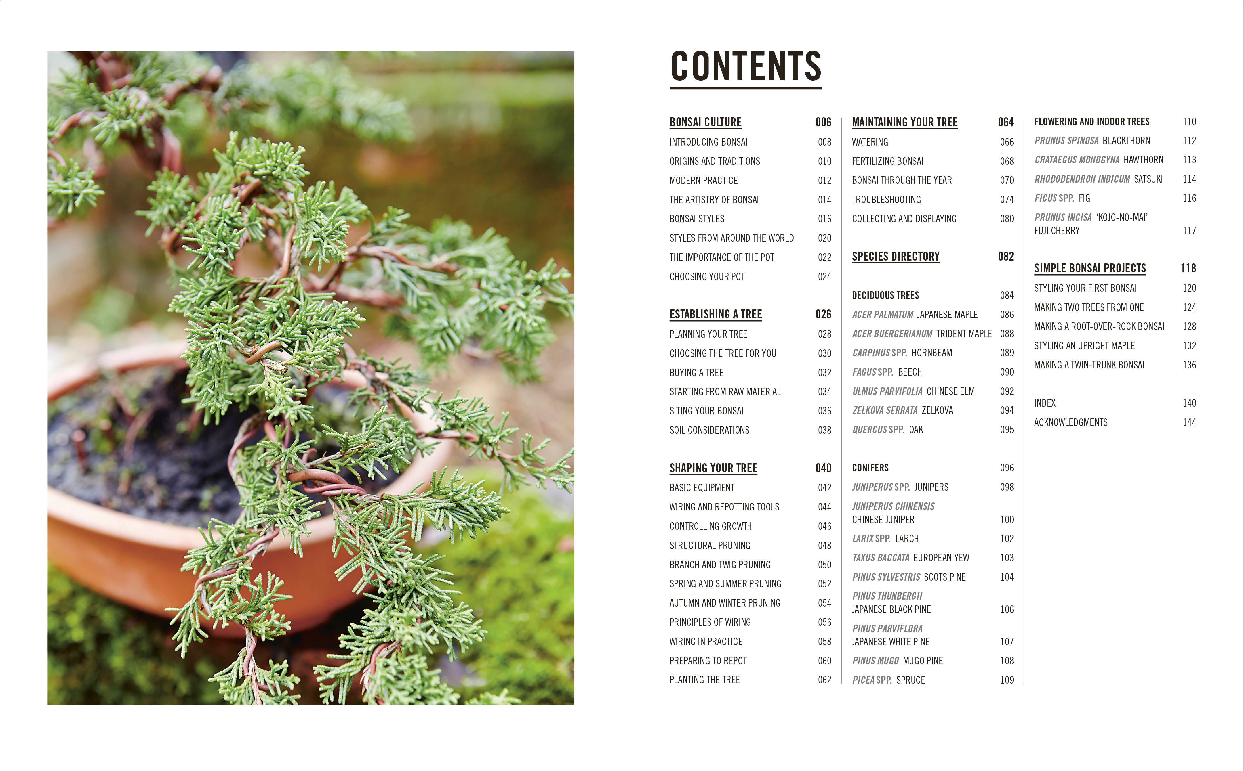 Grow Bonsai – DK