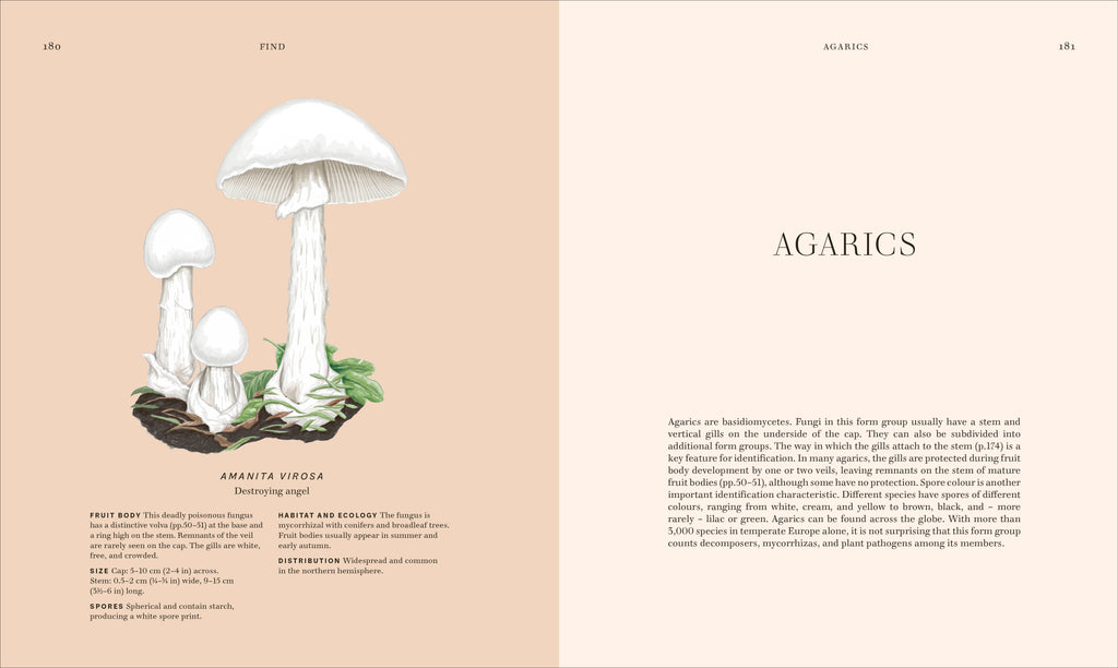 Fungi-Spread, Image, (PRHC, Design, Do, Not, Use)-4