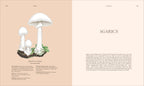 Fungi-Spread, Image, (PRHC, Design, Do, Not, Use)-4
