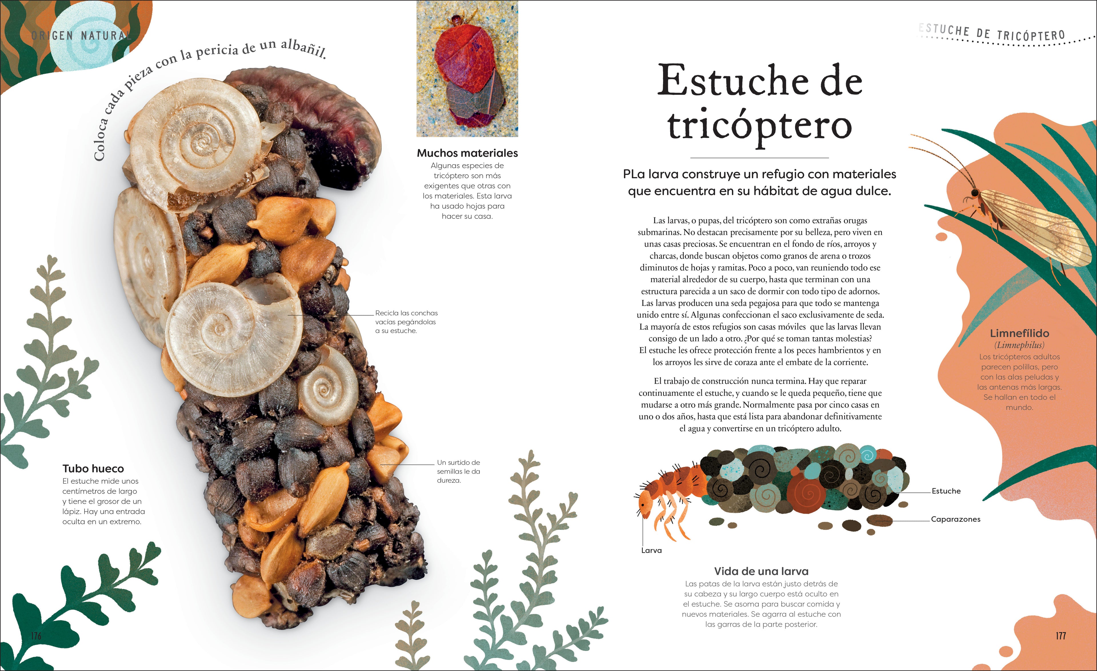 Tesoros de la naturaleza (Nature's Treasures)-Spread, Image, (PRHC, Design, Do, Not, Use)-7