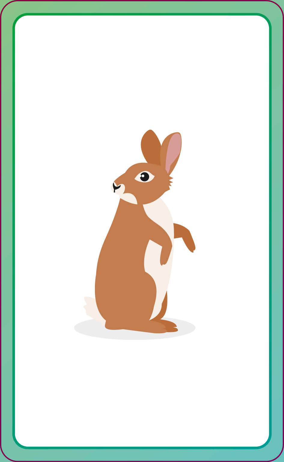 English for Everyone Junior First Words Animals Flash Cards-image