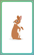 English for Everyone Junior First Words Animals Flash Cards-image