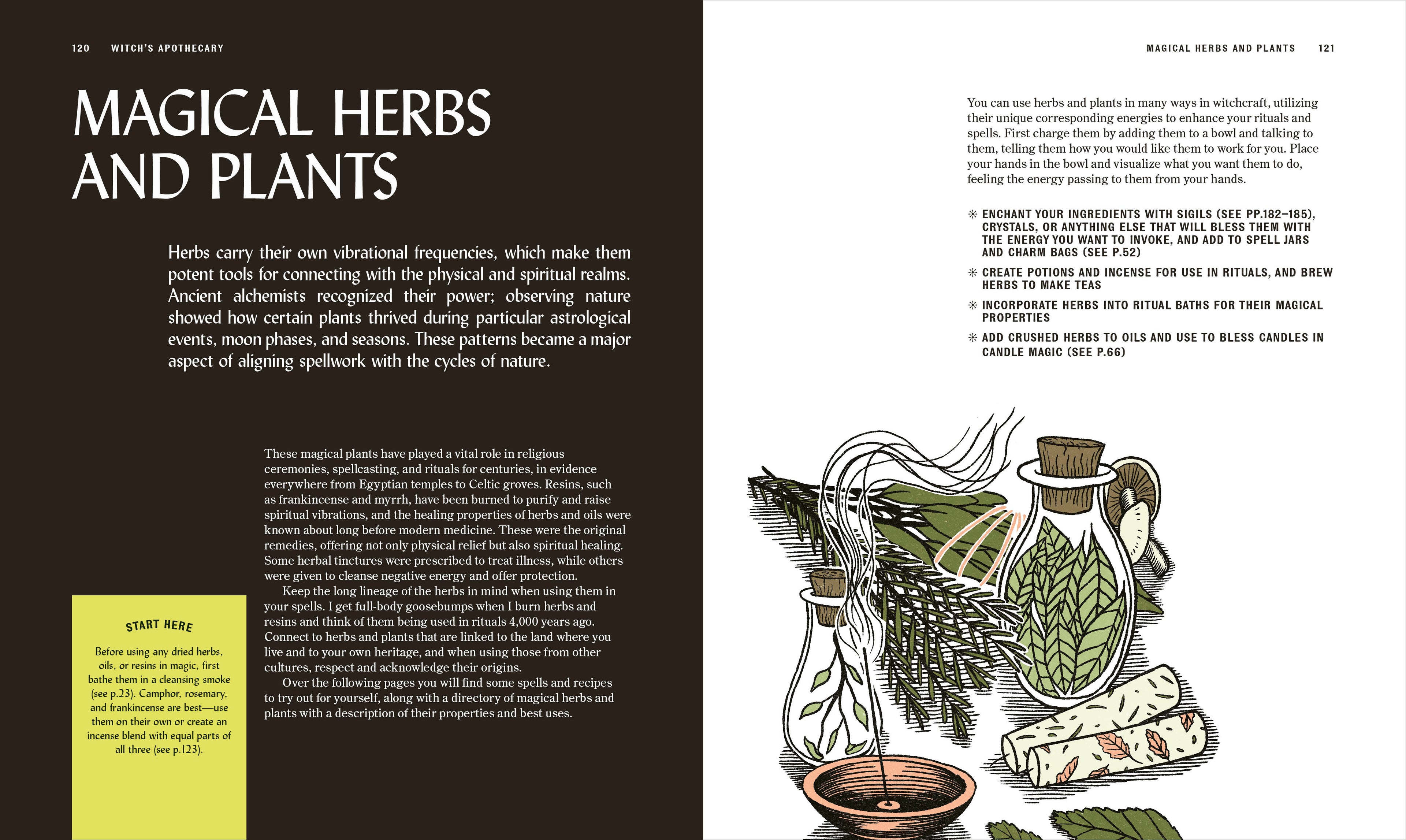 The Book of Witchcraft-Spread, Image, (PRHC, Design, Do, Not, Use)-4