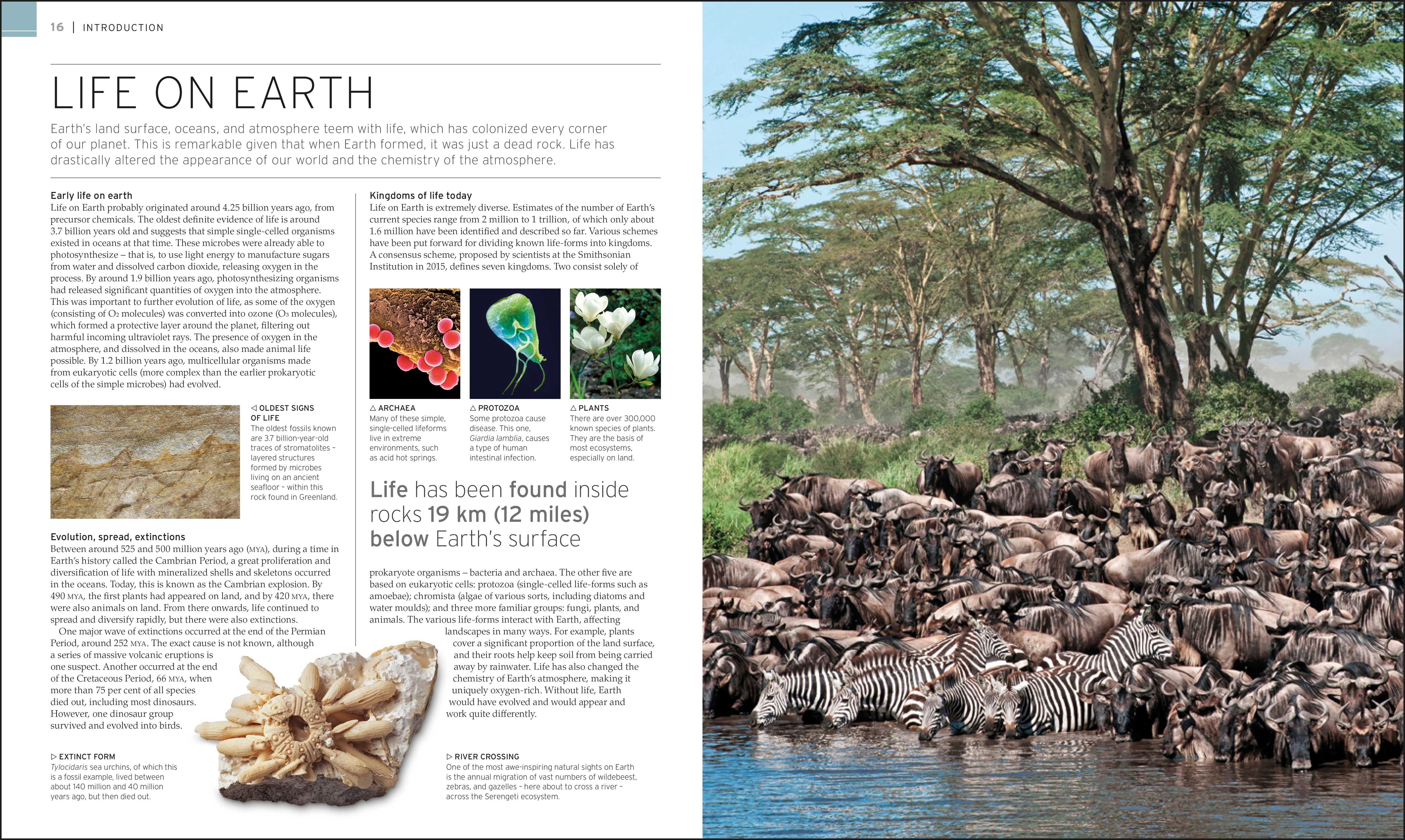 Natural Wonders of the World – DK