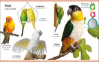 My First Bilingual Pets / los mascotas-Spread, Image, (PRHC, Design, Do, Not, Use)-3