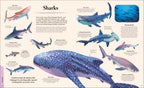 Galapagos-Spread, Image, (PRHC, Design, Do, Not, Use)-5