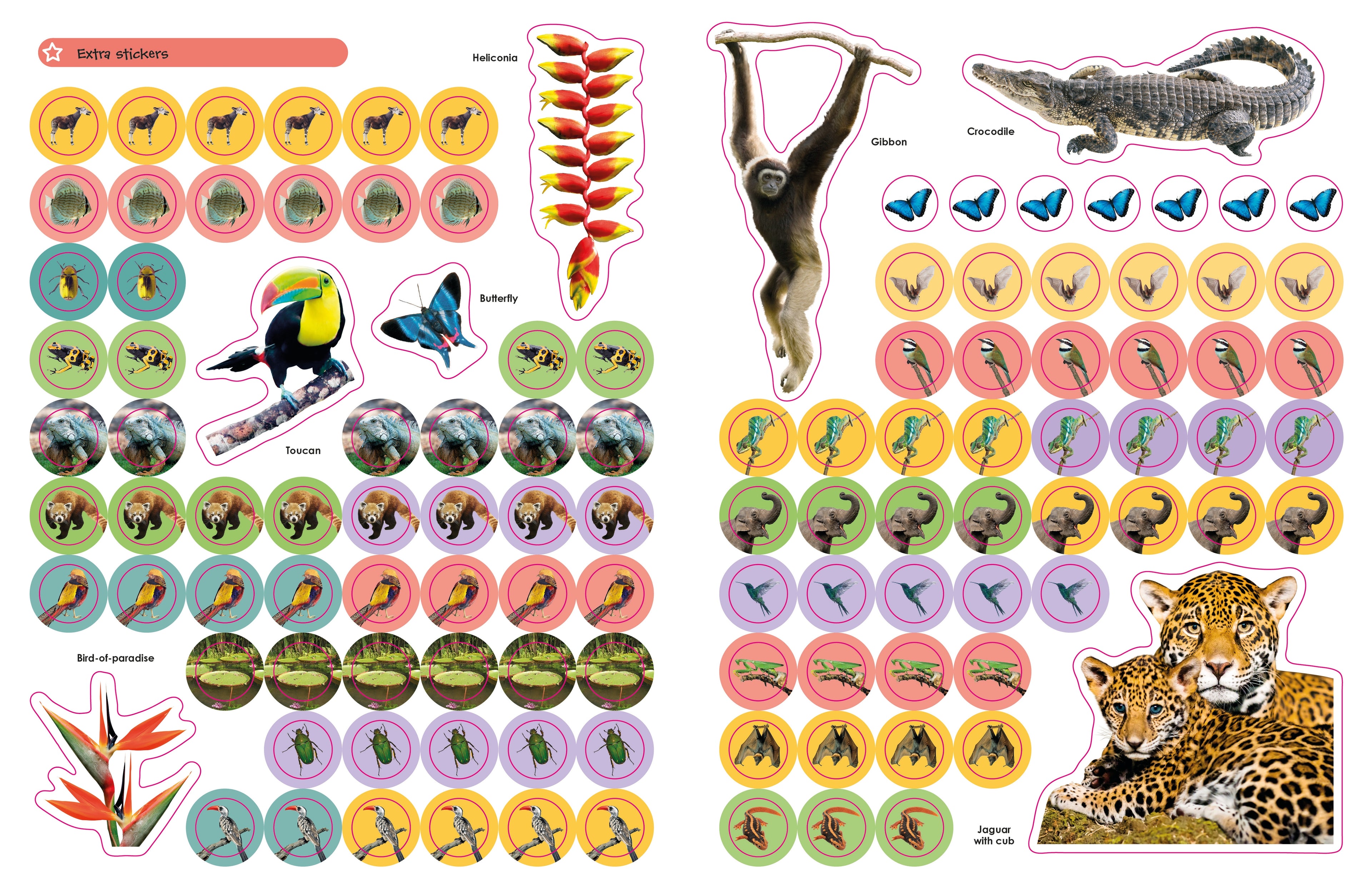 Jungle Ultimate Sticker Book