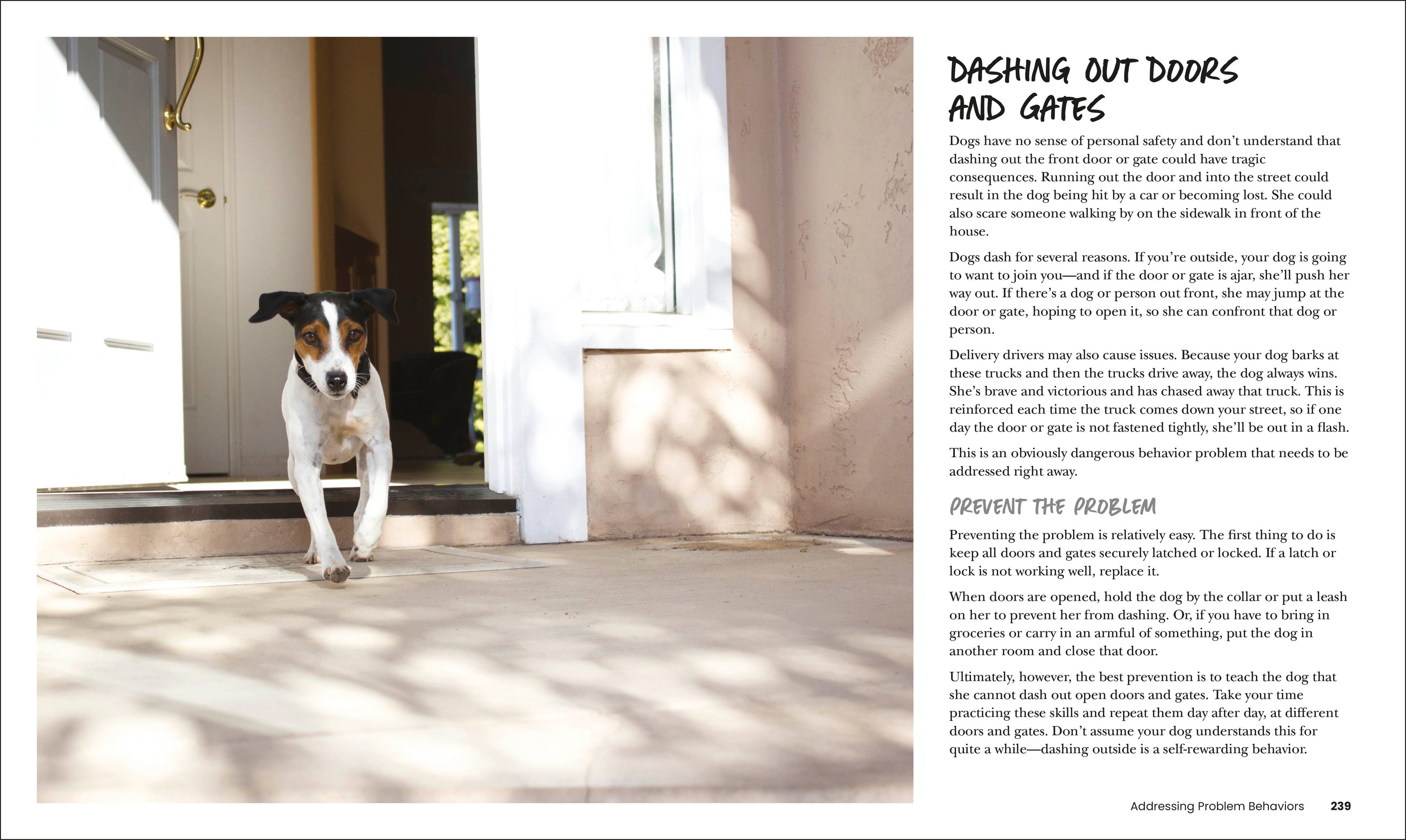 How to Train Your Dog-Spread, Image, (PRHC, Design, Do, Not, Use)-9