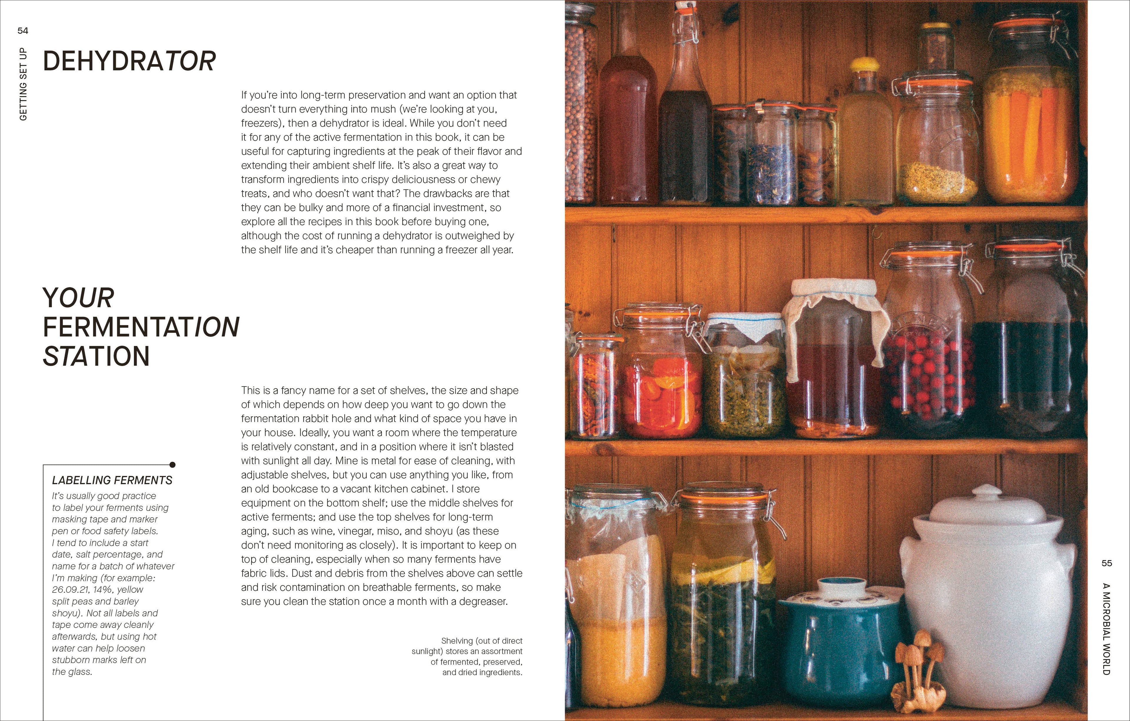 The Fermentation Kitchen-Spread, Image, (PRHC, Design, Do, Not, Use)-2