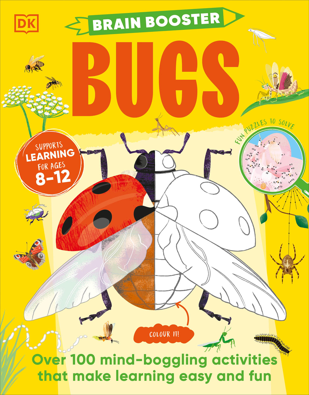 Brain Booster Bugs-book cover