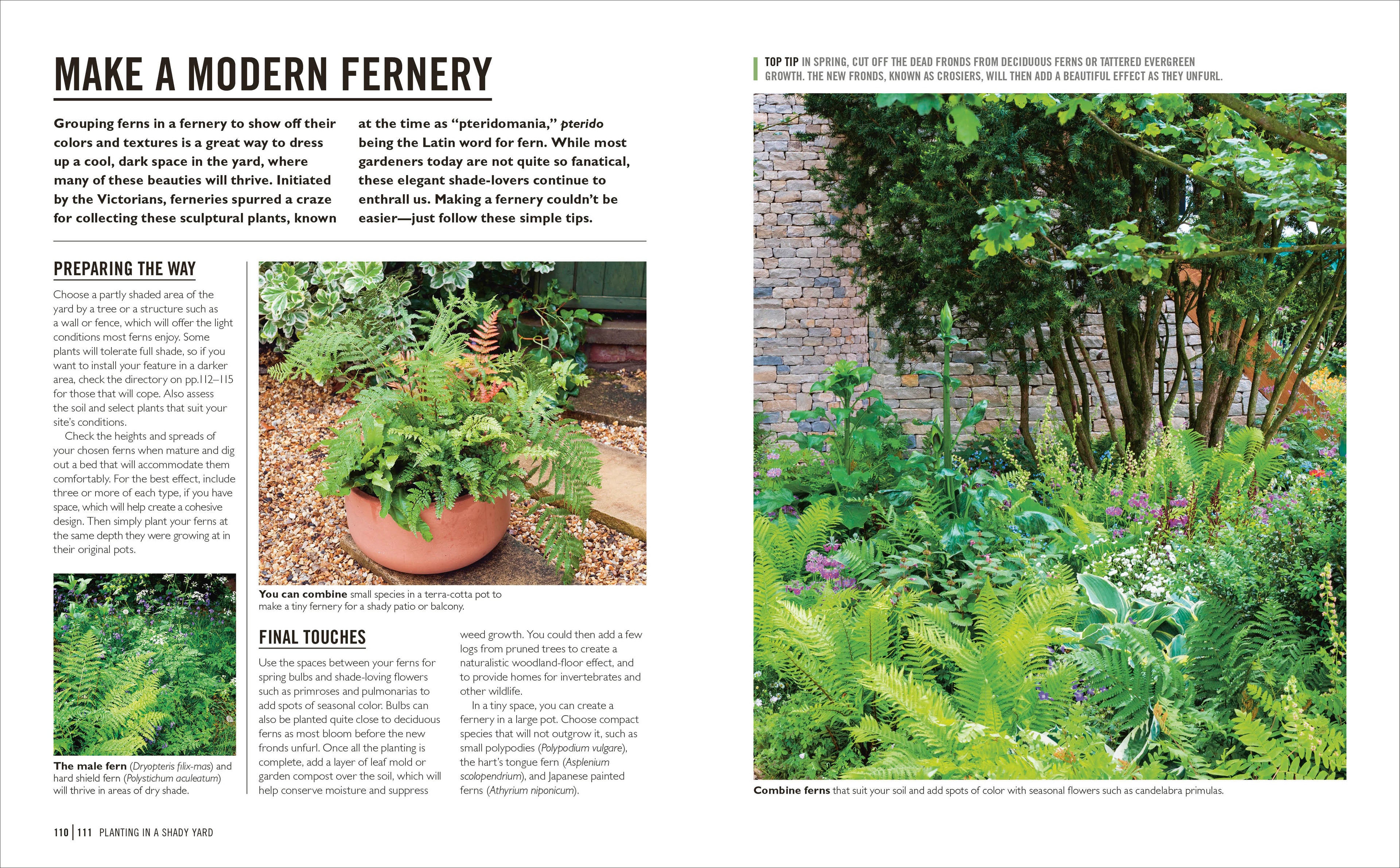 Grow Shade Garden-Spread, Image, (PRHC, Design, Do, Not, Use)-6