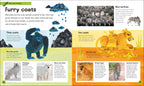 The Very Hungry Caterpillar's Very First Animal Encyclopedia-Spread, Image, (PRHC, Design, Do, Not, Use)-2