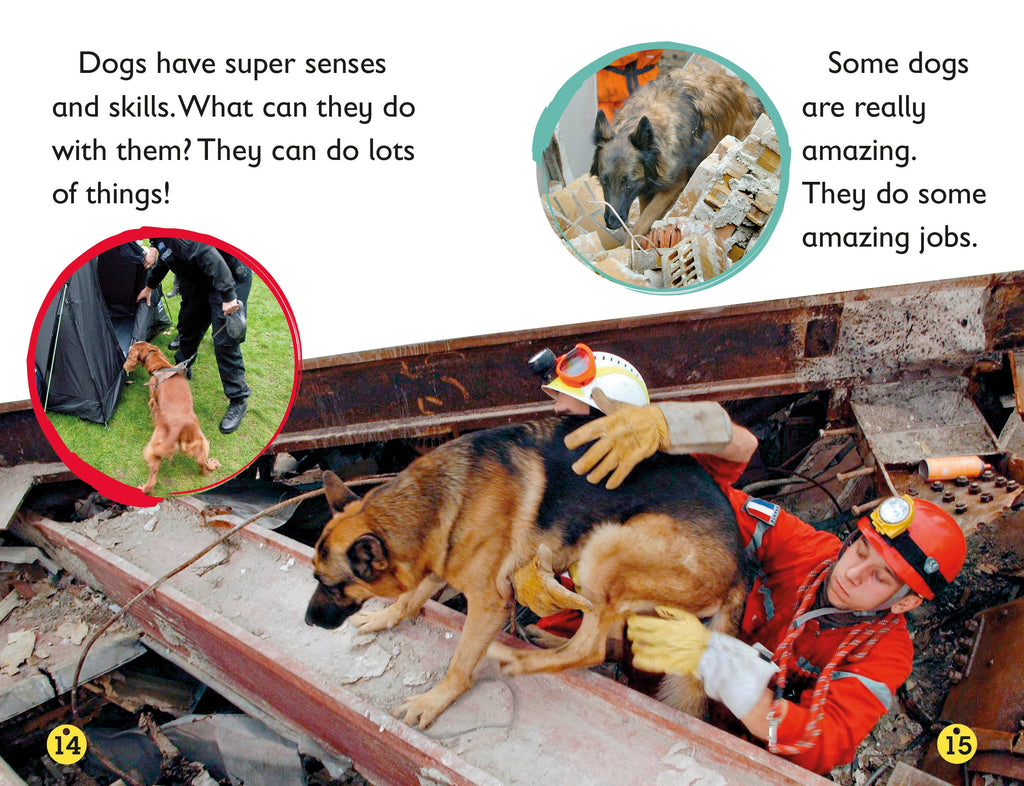 DK Readers L2: Amazing Dogs