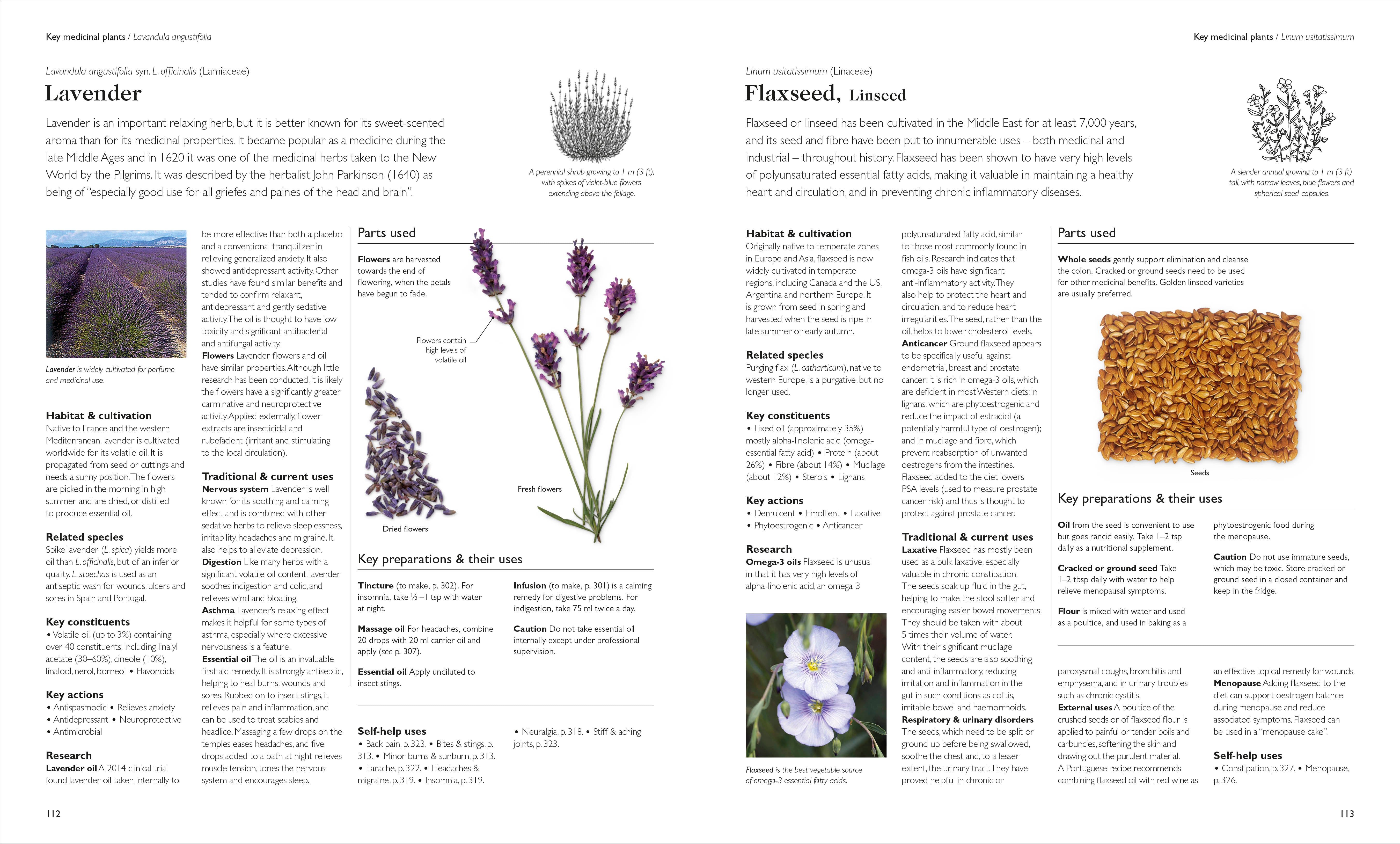 Encyclopedia of Herbal Medicine New Edition – DK
