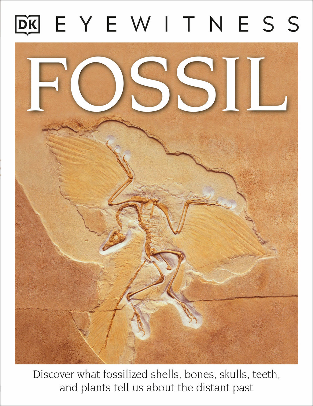 DK Eyewitness Books: Fossil