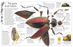 DK Eyewitness Books: Insect