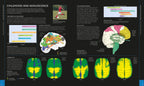 The Brain Book