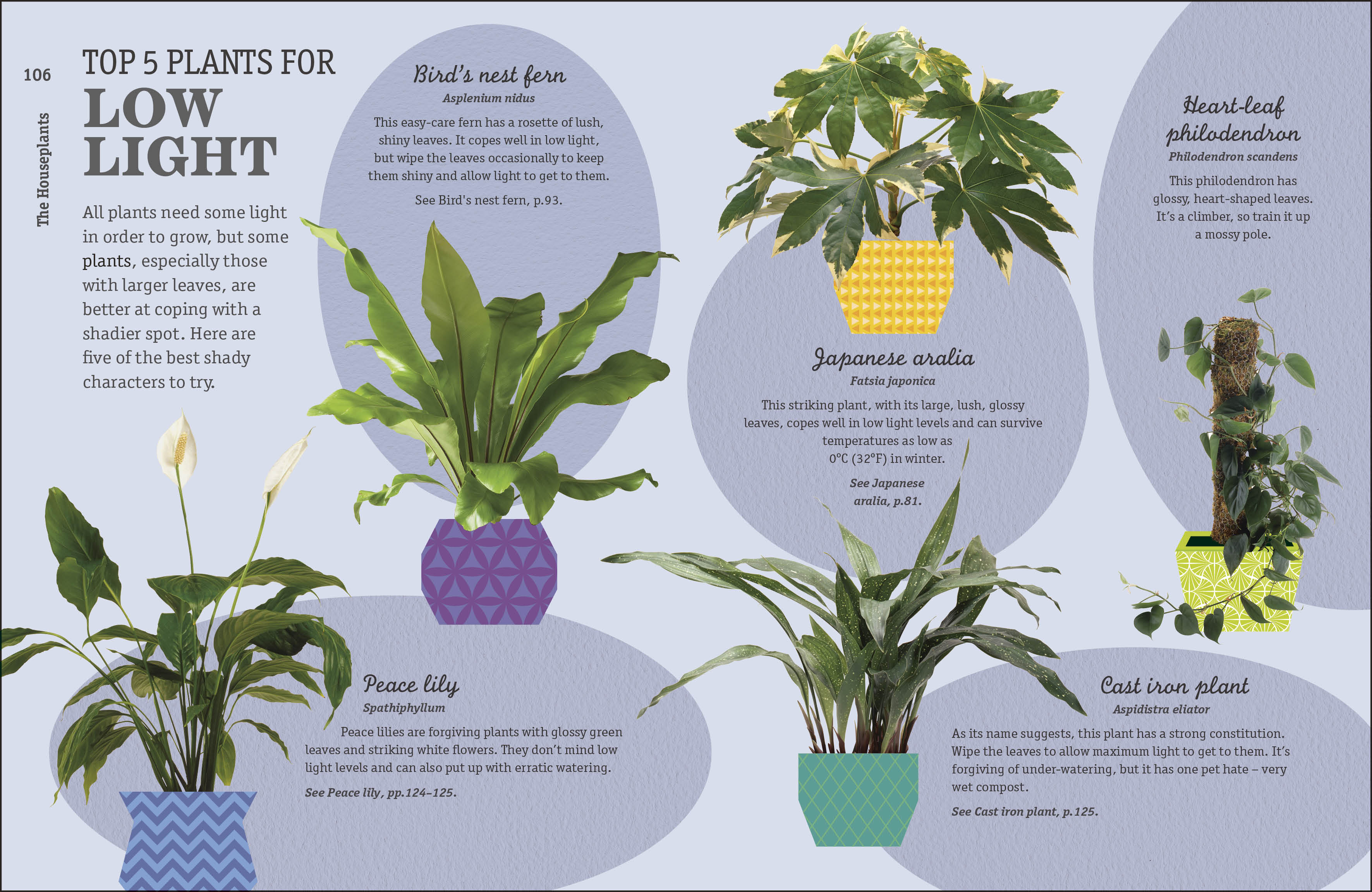 How Not to Kill Your Houseplant-Spread, Image, (PRHC, Design, Do, Not, Use)-7