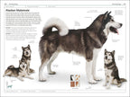 Dogs-Spread, Image, (PRHC, Design, Do, Not, Use)-6