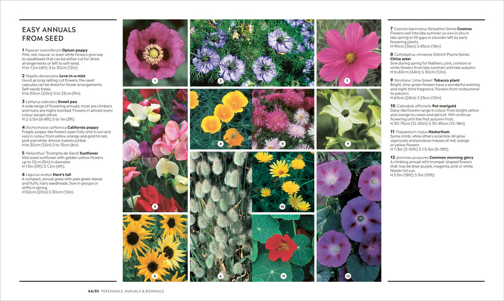 RHS How to Garden New Edition