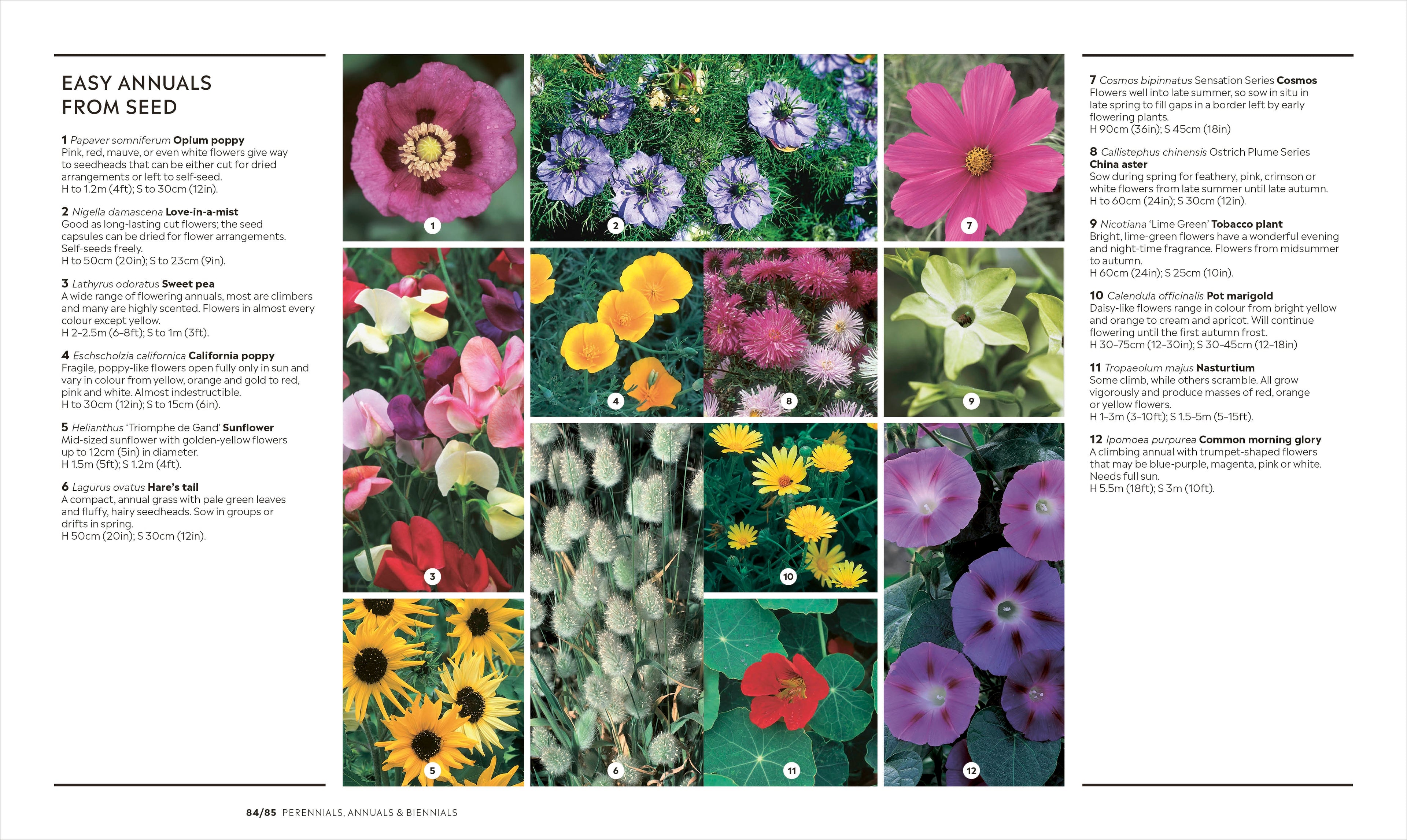 RHS How to Garden New Edition