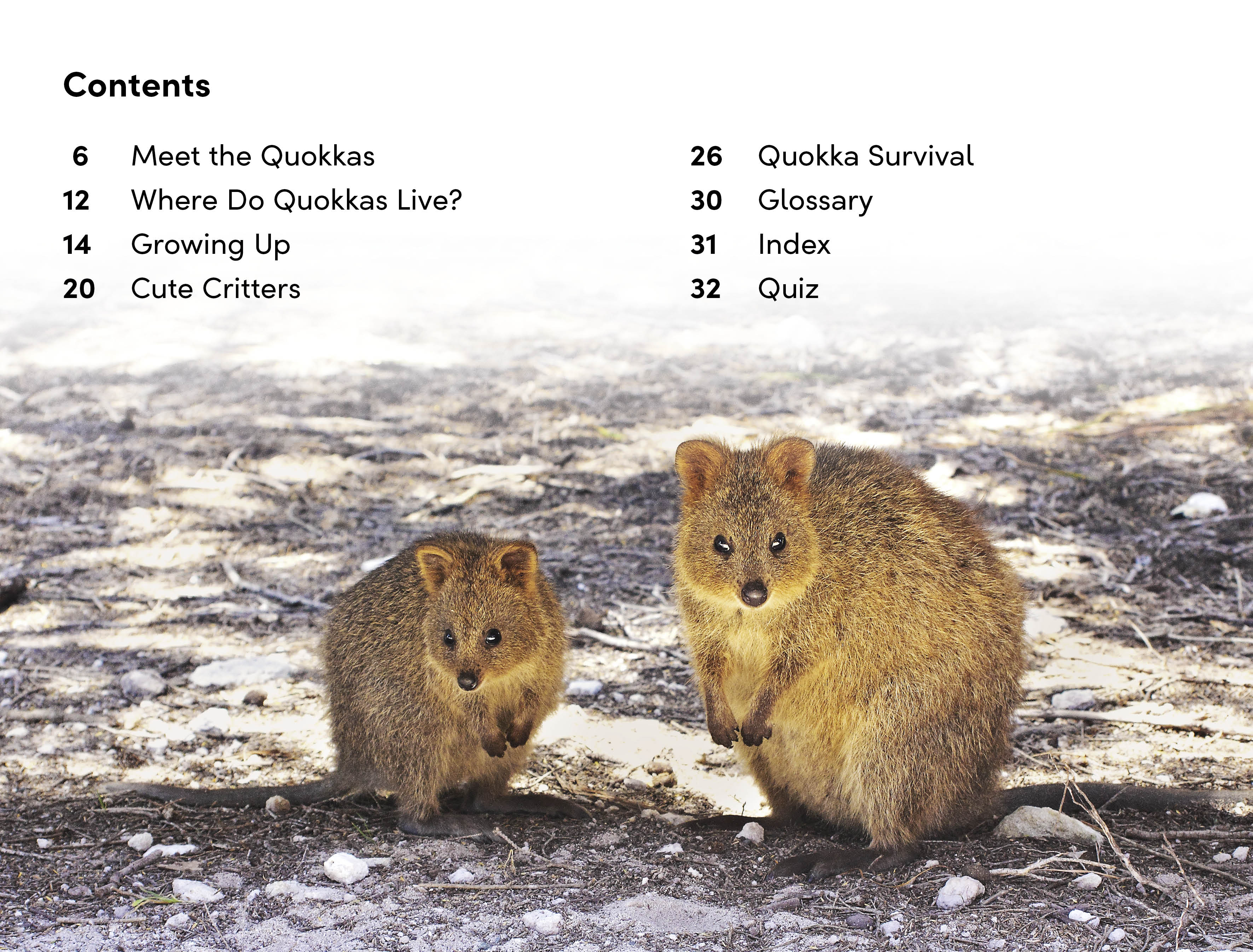 DK Super Readers Level 2 Quokkas