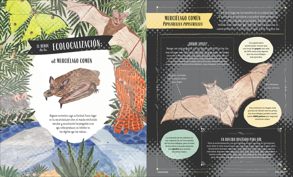 Fauna (Wild)-Spread, Image, (PRHC, Design, Do, Not, Use)-2