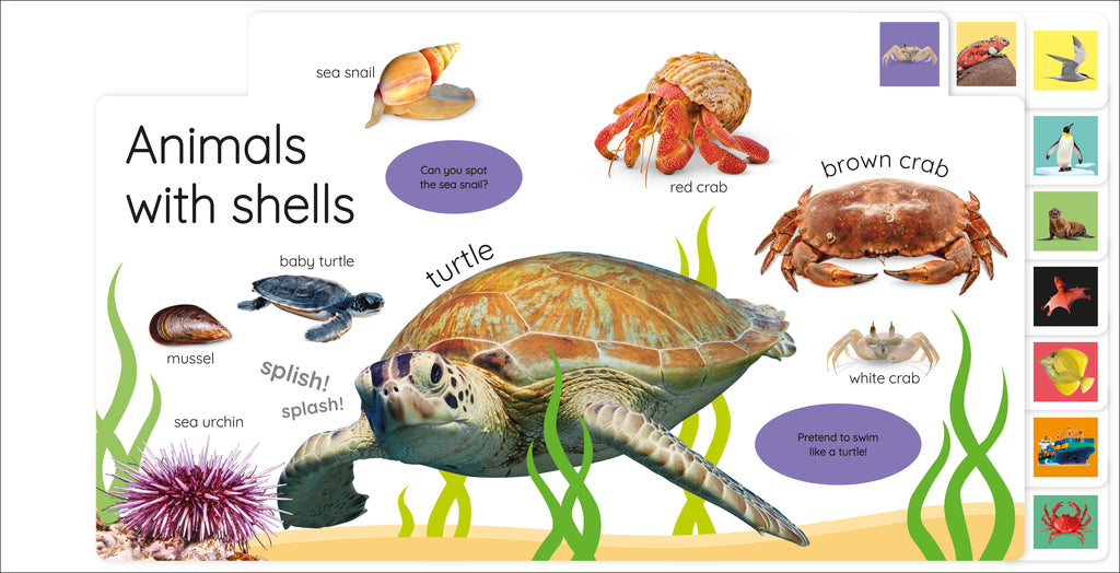 My First Ocean: Let’s Dive In and Explore!