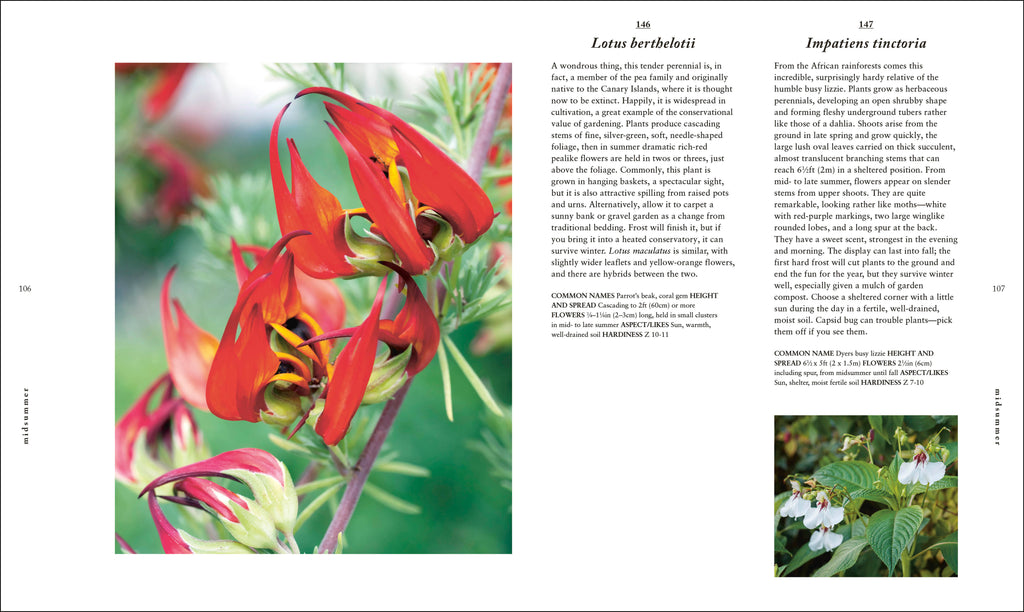 A Plant for Every Day of the Year-Spread, Image, (PRHC, Design, Do, Not, Use)-4