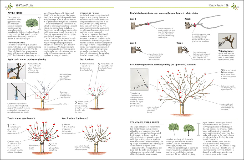 Pruning and Training