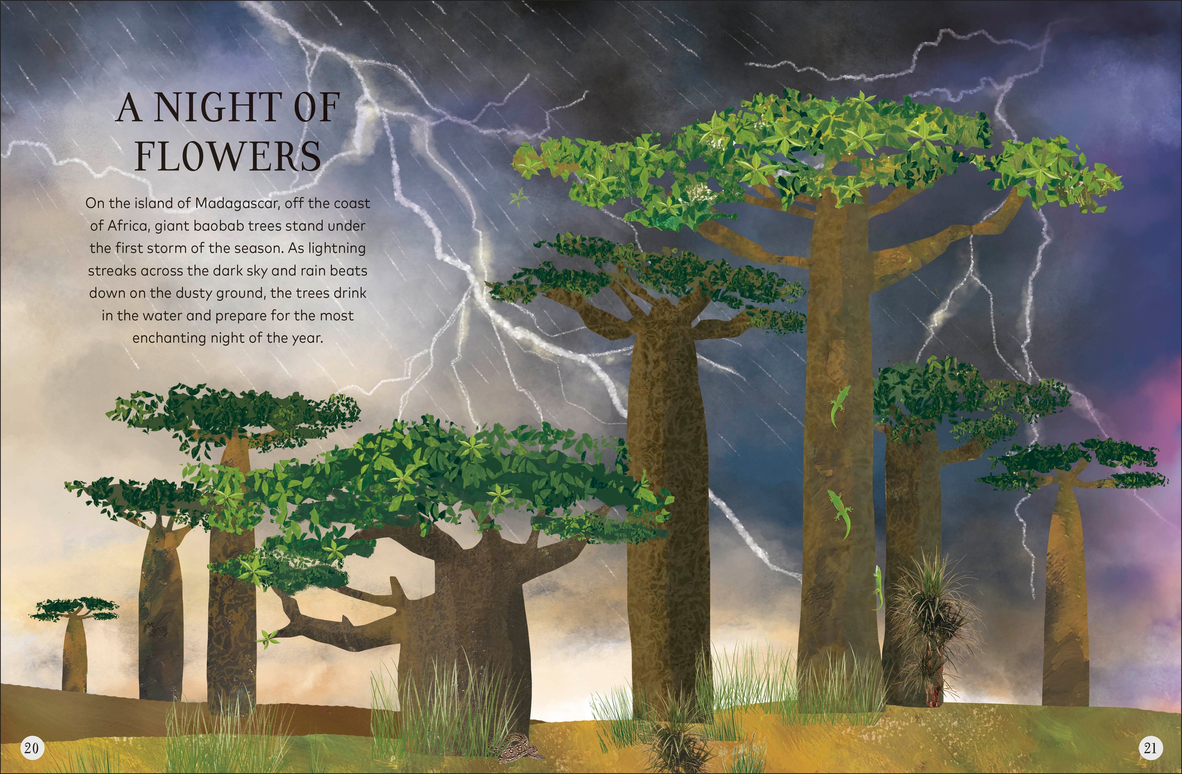 Through the Night Sky