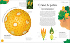 Tesoros de la naturaleza (Nature's Treasures)-Spread, Image, (PRHC, Design, Do, Not, Use)-5