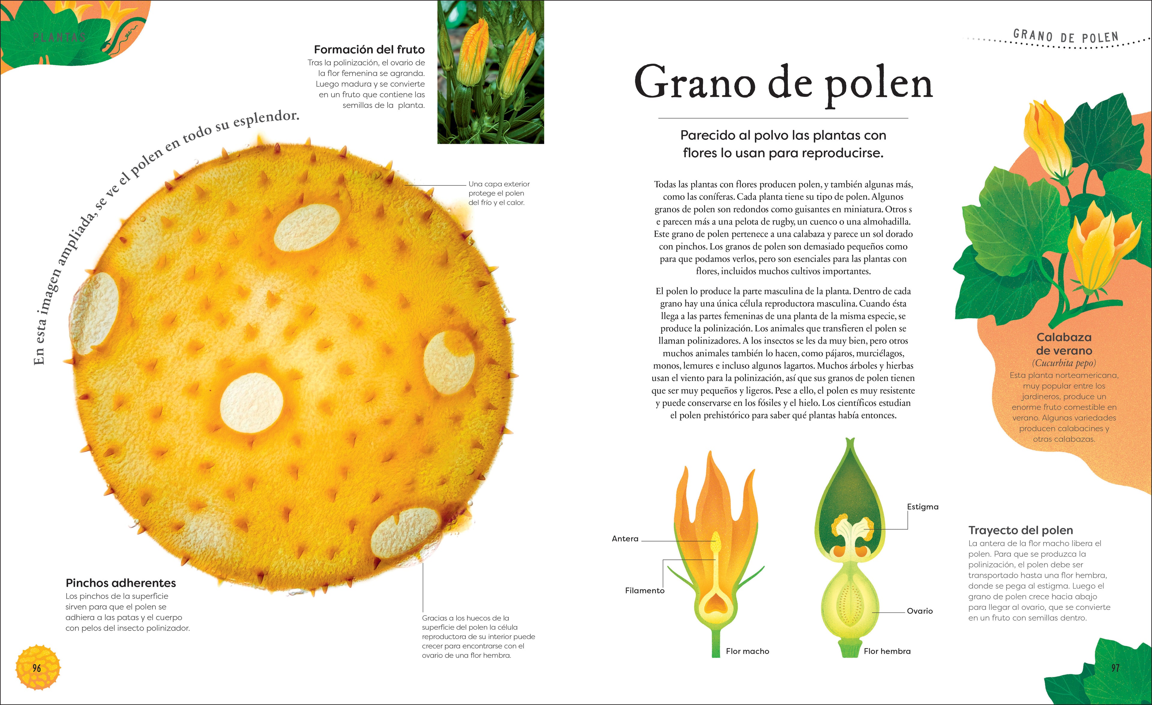 Tesoros de la naturaleza (Nature's Treasures)-Spread, Image, (PRHC, Design, Do, Not, Use)-5