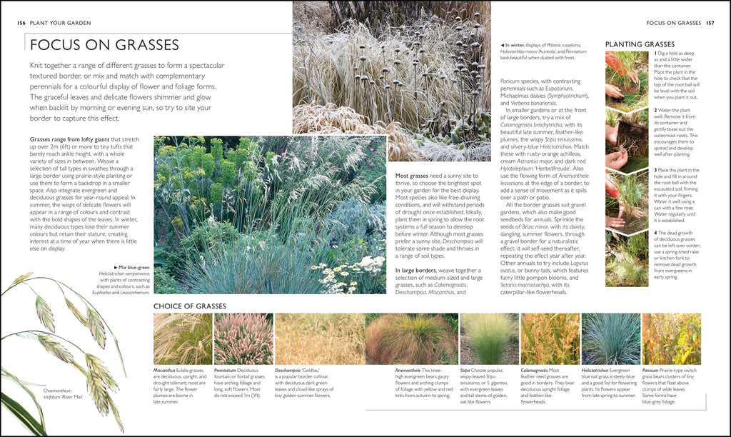 RHS Complete Gardener's Manual