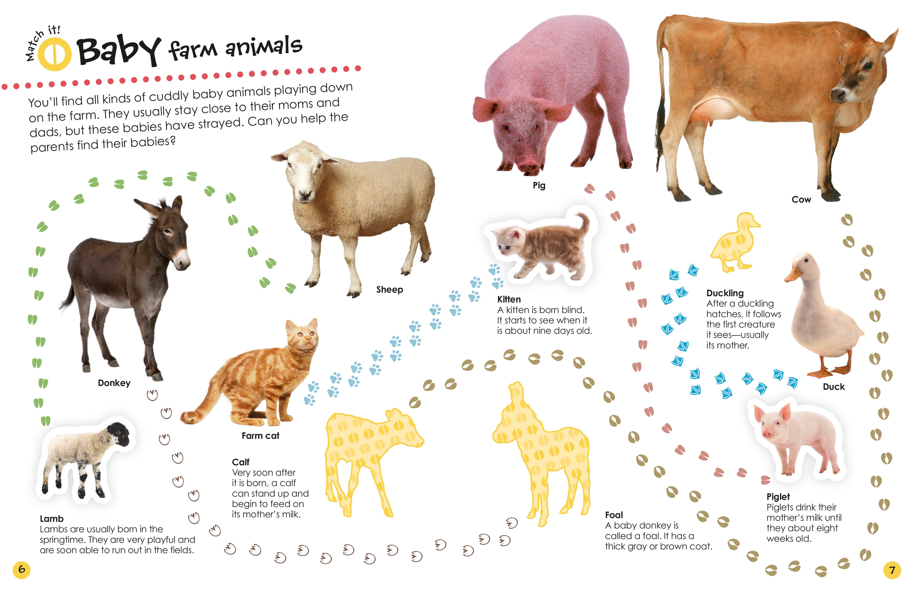 Ultimate Sticker Book: Farm