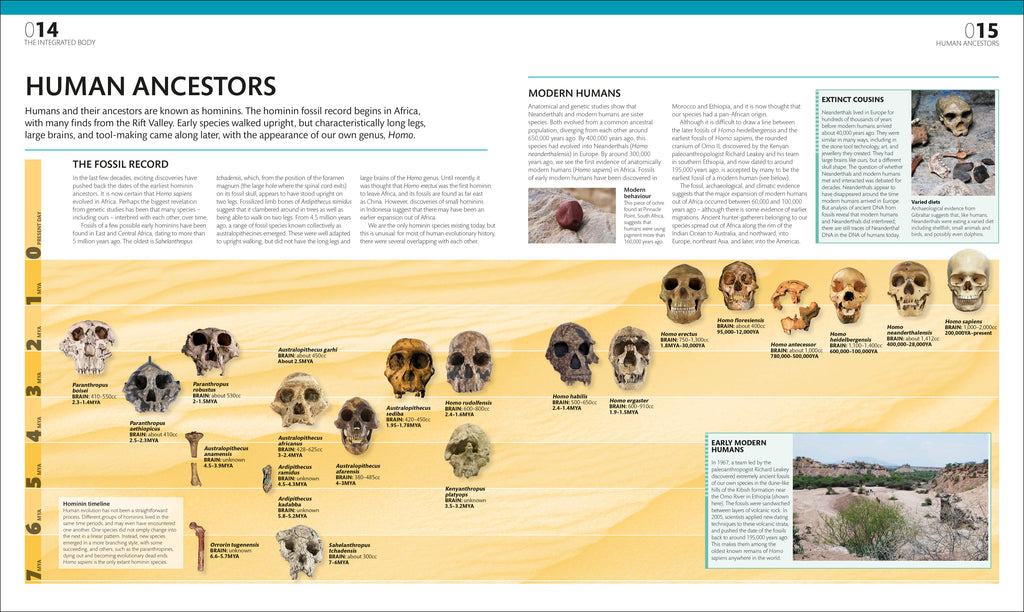 The Complete Human Body