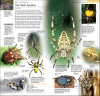 Pocket Nature Wildlife of Britain and Ireland