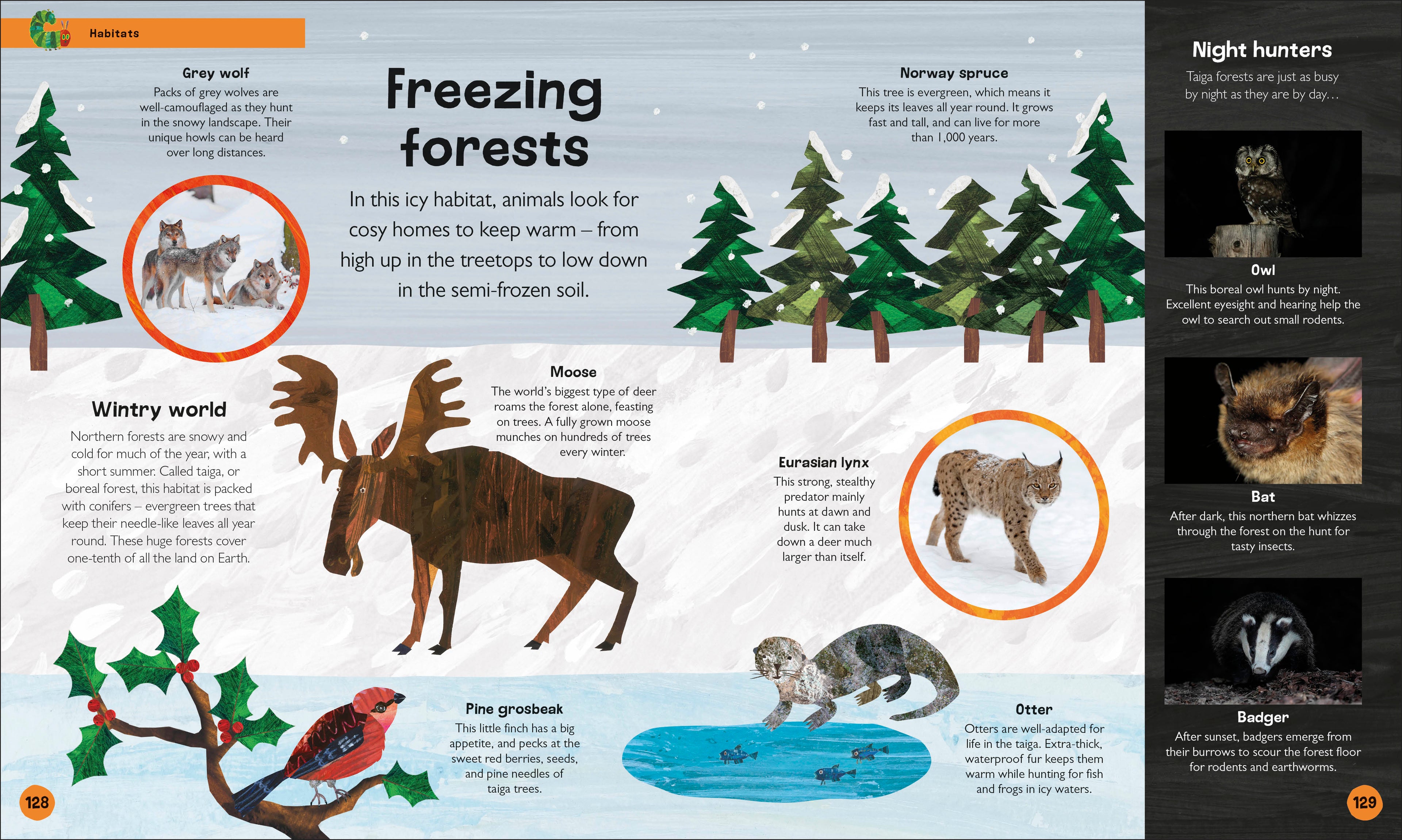 The Very Hungry Caterpillar's Very First Earth Encyclopedia-Spread, Image, (PRHC, Design, Do, Not, Use)-4