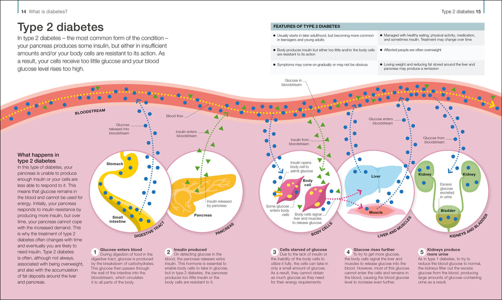 The Diabetes Handbook