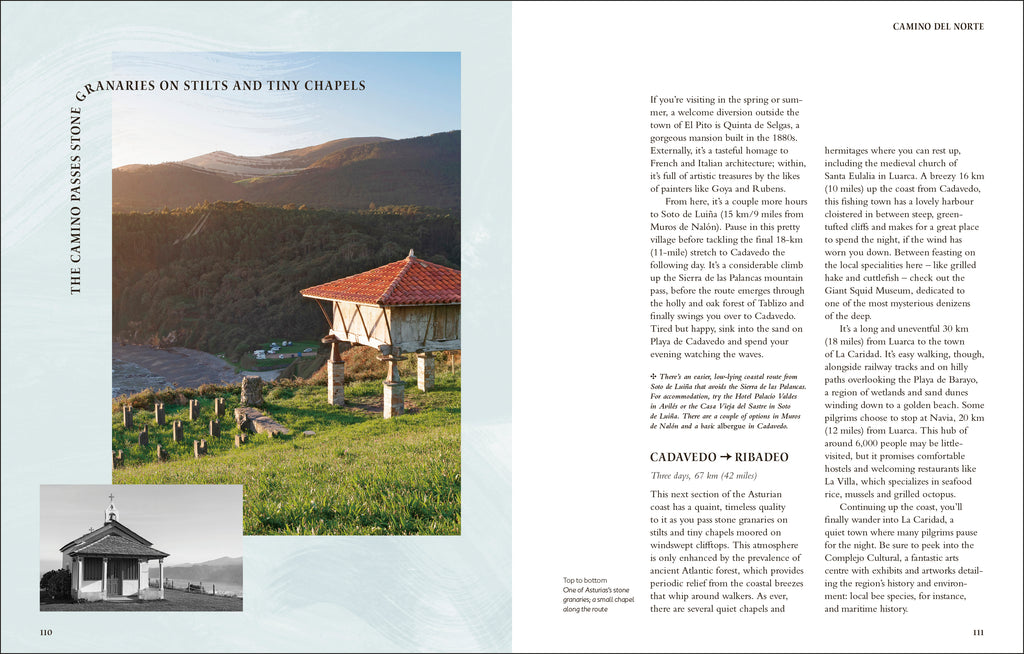 Walking the Camino de Santiago