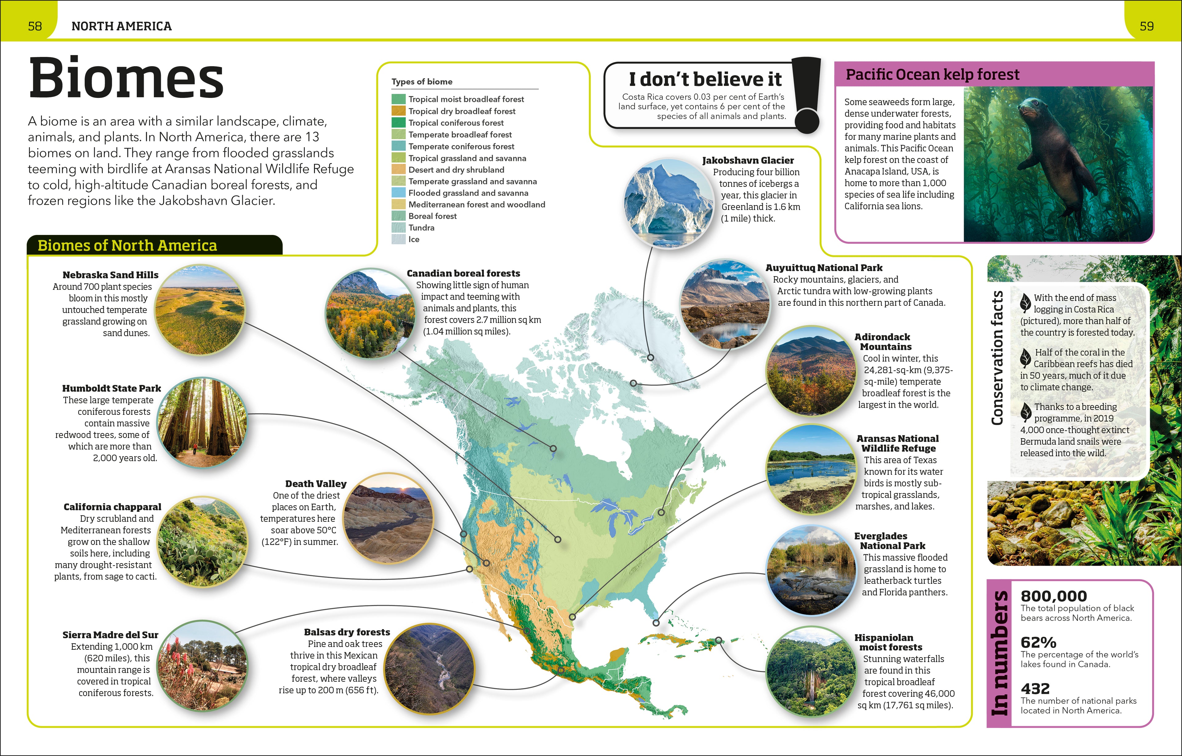 Earth Knowledge Genius!-spread image