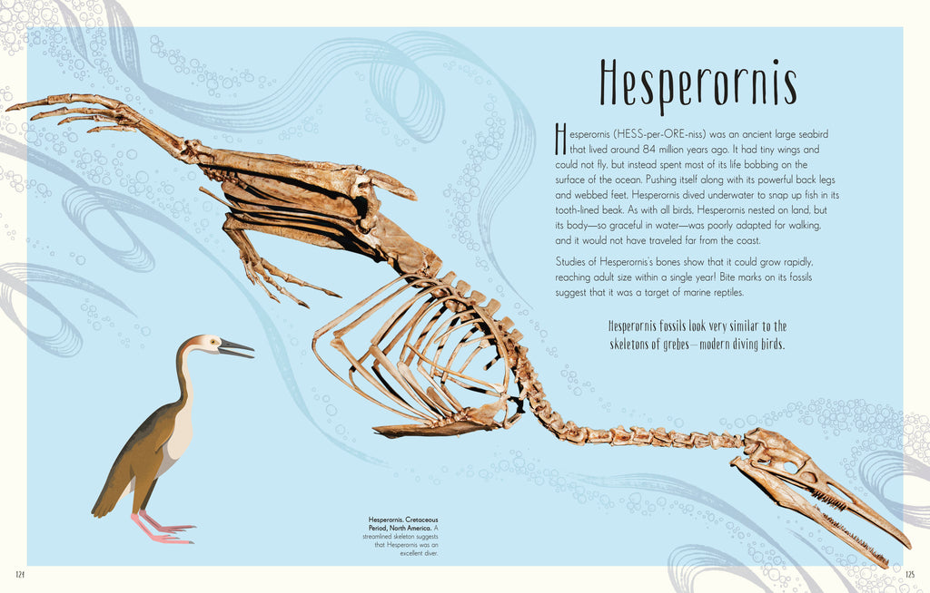 Children's Anthologies Collection-image